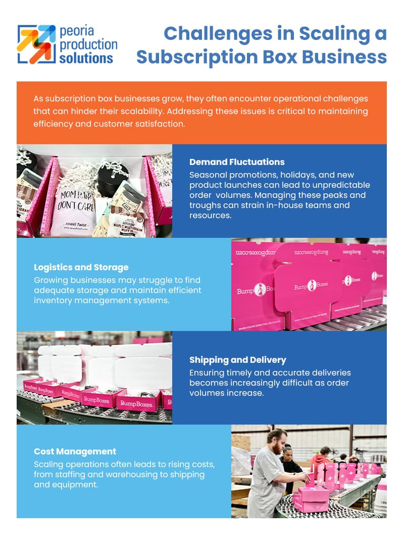 Challenges in Scaling a Subscription Box Business 